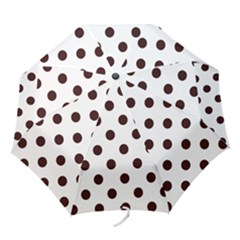 Folding Umbrella 