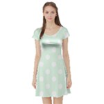 Polka Dots - White on Pale Green Short Sleeve Skater Dress