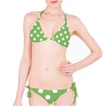 Polka Dots - White on Dollar Bill Green Bikini Set