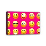 Emoji Pink Mini Canvas 6  x 4  (Stretched)