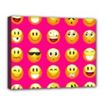 Emoji Pink Canvas 14  x 11  (Stretched)