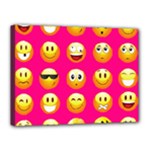 Emoji Pink Canvas 16  x 12  (Stretched)