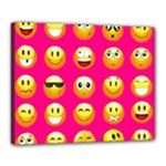 Emoji Pink Canvas 20  x 16  (Stretched)