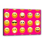 Emoji Pink Canvas 18  x 12  (Stretched)