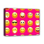 Emoji Pink Deluxe Canvas 16  x 12  (Stretched) 