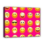 Emoji Pink Deluxe Canvas 20  x 16  (Stretched)