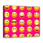 Emoji Pink Deluxe Canvas 24  x 20  (Stretched)