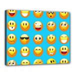 Emoji Blue Canvas 20  x 16  (Stretched)