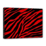 red  zebra  Canvas 16  x 12  (Stretched)