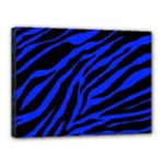 blue zebra Canvas 16  x 12  (Stretched)