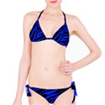 blue zebra Bikini Set