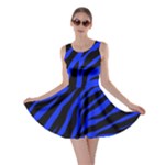 blue zebra Skater Dress