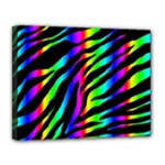 Zebra Rainbow Canvas 14  x 11  (Stretched)