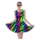 Zebra Rainbow Skater Dress