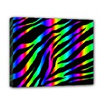 Zebra Rainbow Canvas 10  x 8  (Stretched)