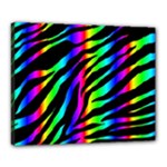 Zebra Rainbow Canvas 20  x 16  (Stretched)