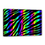 Zebra Rainbow Canvas 18  x 12  (Stretched)