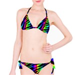 Zebra Rainbow Bikini Set