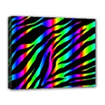 Zebra Rainbow Deluxe Canvas 20  x 16  (Stretched)