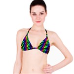 Zebra Rainbow Bikini Top