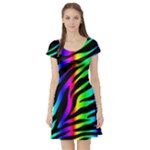 Zebra Rainbow Short Sleeve Skater Dress