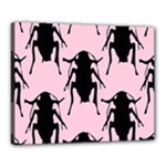 Pink Roaches Canvas 20  x 16  (Stretched)