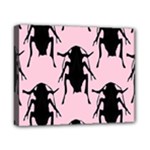 Pink Roaches Canvas 10  x 8  (Stretched)