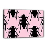 Pink Roaches Canvas 18  x 12  (Stretched)