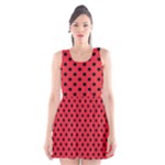 Polka Dots - Black on Alizarin Red Scoop Neck Skater Dress