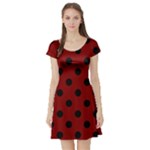 Polka Dots - Black on Maroon Red Short Sleeve Skater Dress