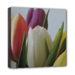 Colored by Tulips Mini Canvas 8  x 8 