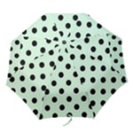 Polka Dots - Black on Pastel Green Folding Umbrella