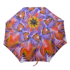 Folding Umbrella 