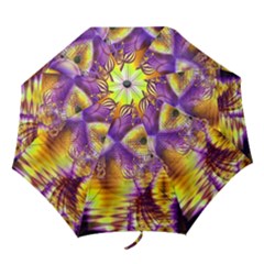 Folding Umbrella 