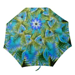 Folding Umbrella 