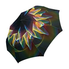 Folding Umbrella 