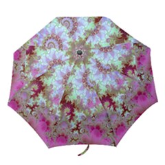 Folding Umbrella 