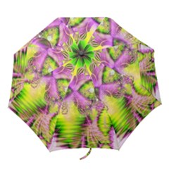 Folding Umbrella 