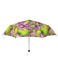 Folding Umbrella 