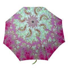 Folding Umbrella 