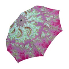 Folding Umbrella 