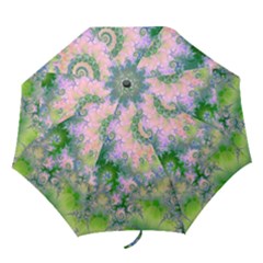 Folding Umbrella 