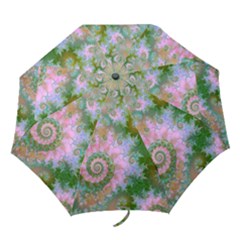 Folding Umbrella 