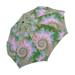 Folding Umbrella 