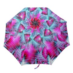 Folding Umbrella 