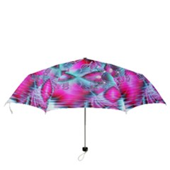 Folding Umbrella 