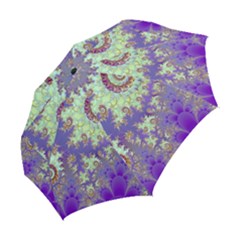 Folding Umbrella 