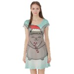 Christmas Chinchilla Short Sleeve Skater Dress