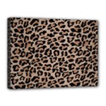 cheetah leopard print Canvas 16  x 12  (Stretched)