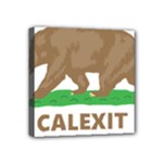 Calexit Mini Canvas 4  x 4  (Stretched)